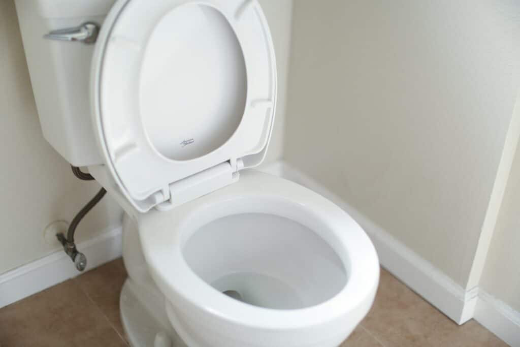clean toilet