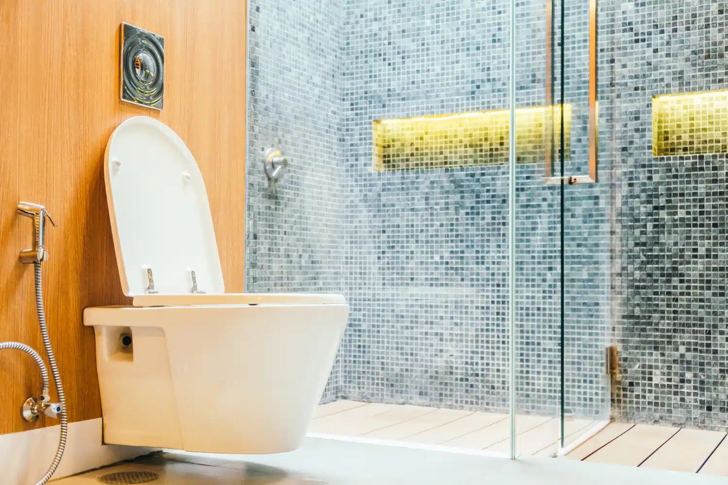 home toilet