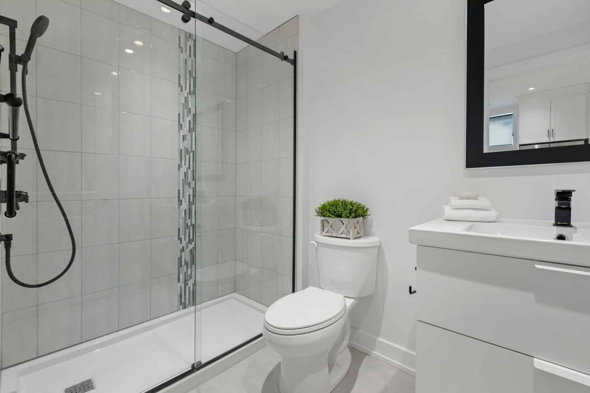 toilet drains