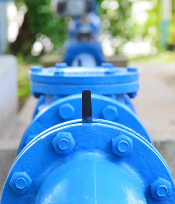 shutterstock_1119747365-06 (1)