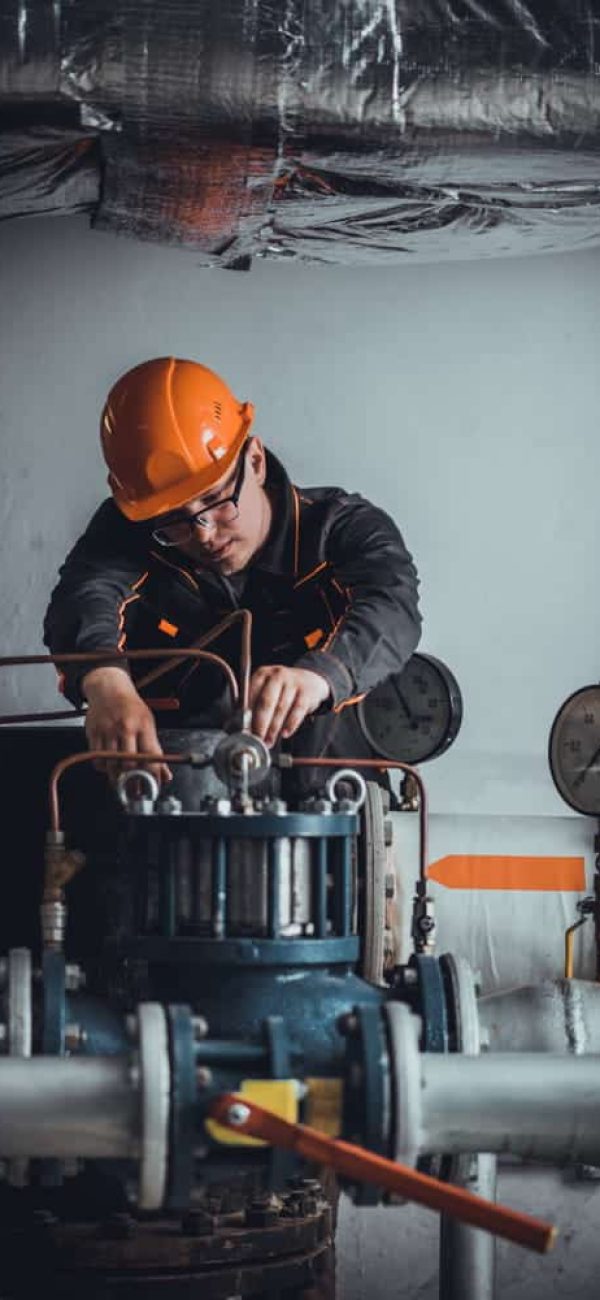 shutterstock_1403227487-05 (1)