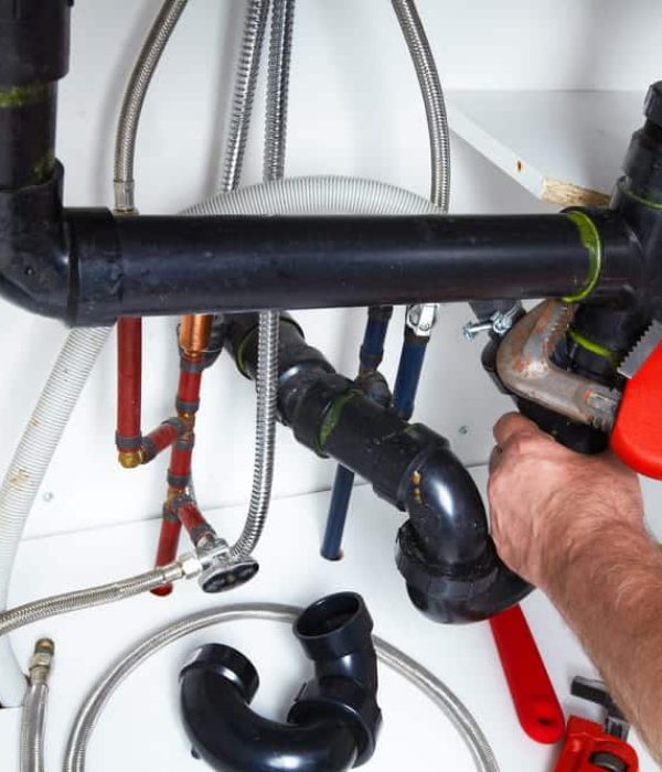 shutterstock_187217324-05 (1)