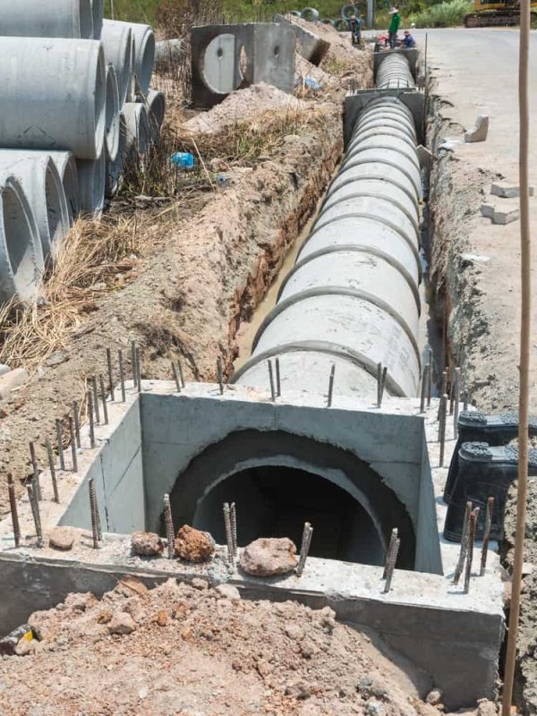 shutterstock_419923372-04 (1)